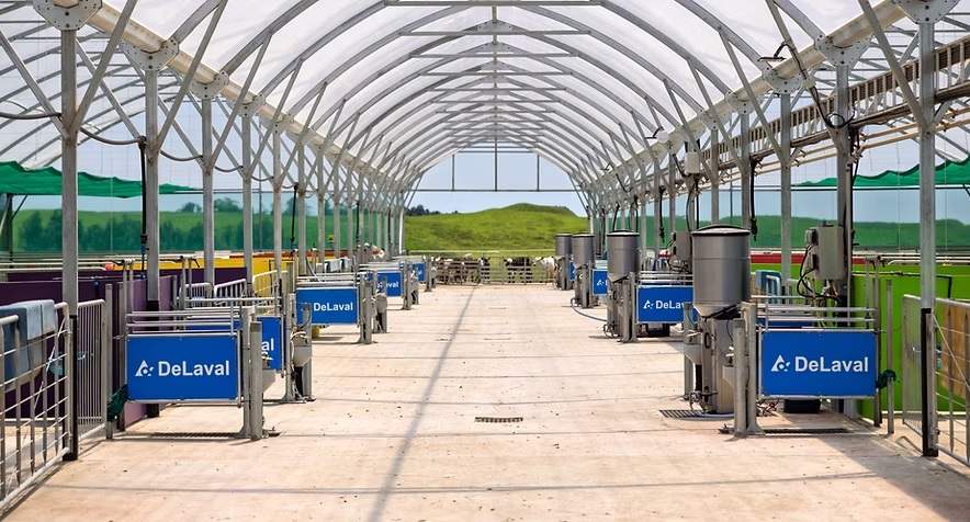 Huirimu Calf Feeder Shed.jpg